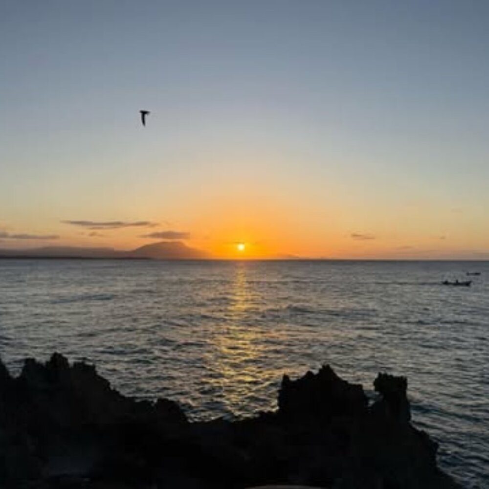 💖 Welcome to my closet! 💖